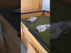 Вентиляционный горизонтальный сушильщик зерновых орехов Бобы Сушильщик 4 тонны