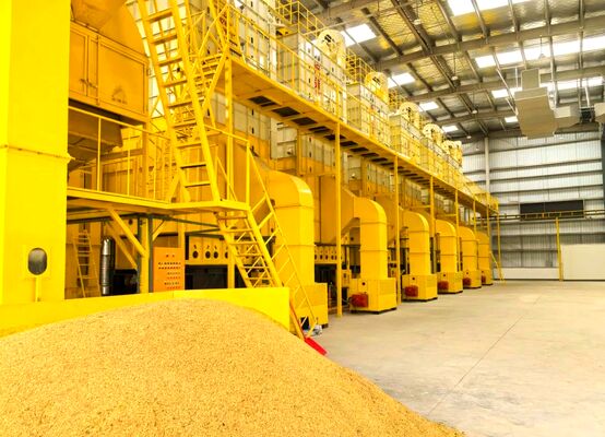 Хорошая цена 100 зерна тонн сушильщика маиса подвергают весь сушить механической обработке направлений онлайн